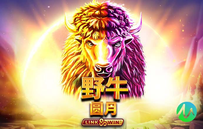 彩票平台